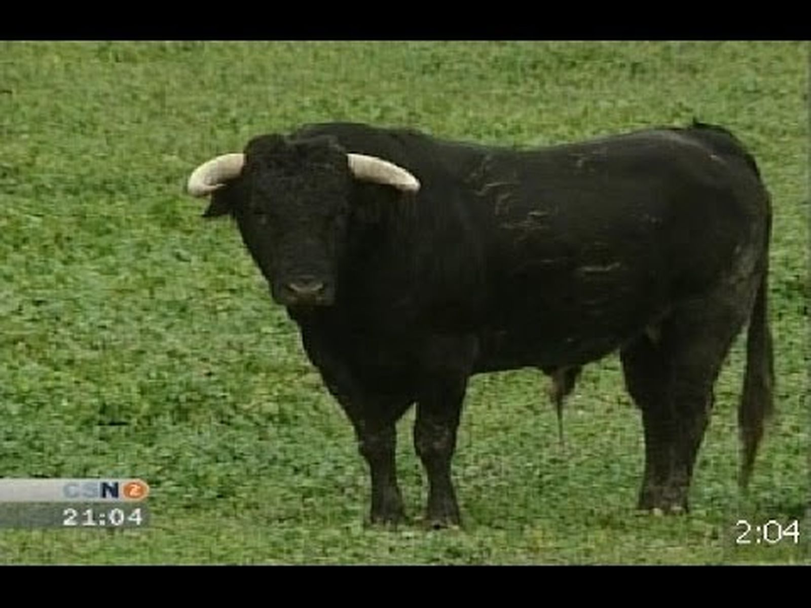 Bravura de los toros: fórmula matemática