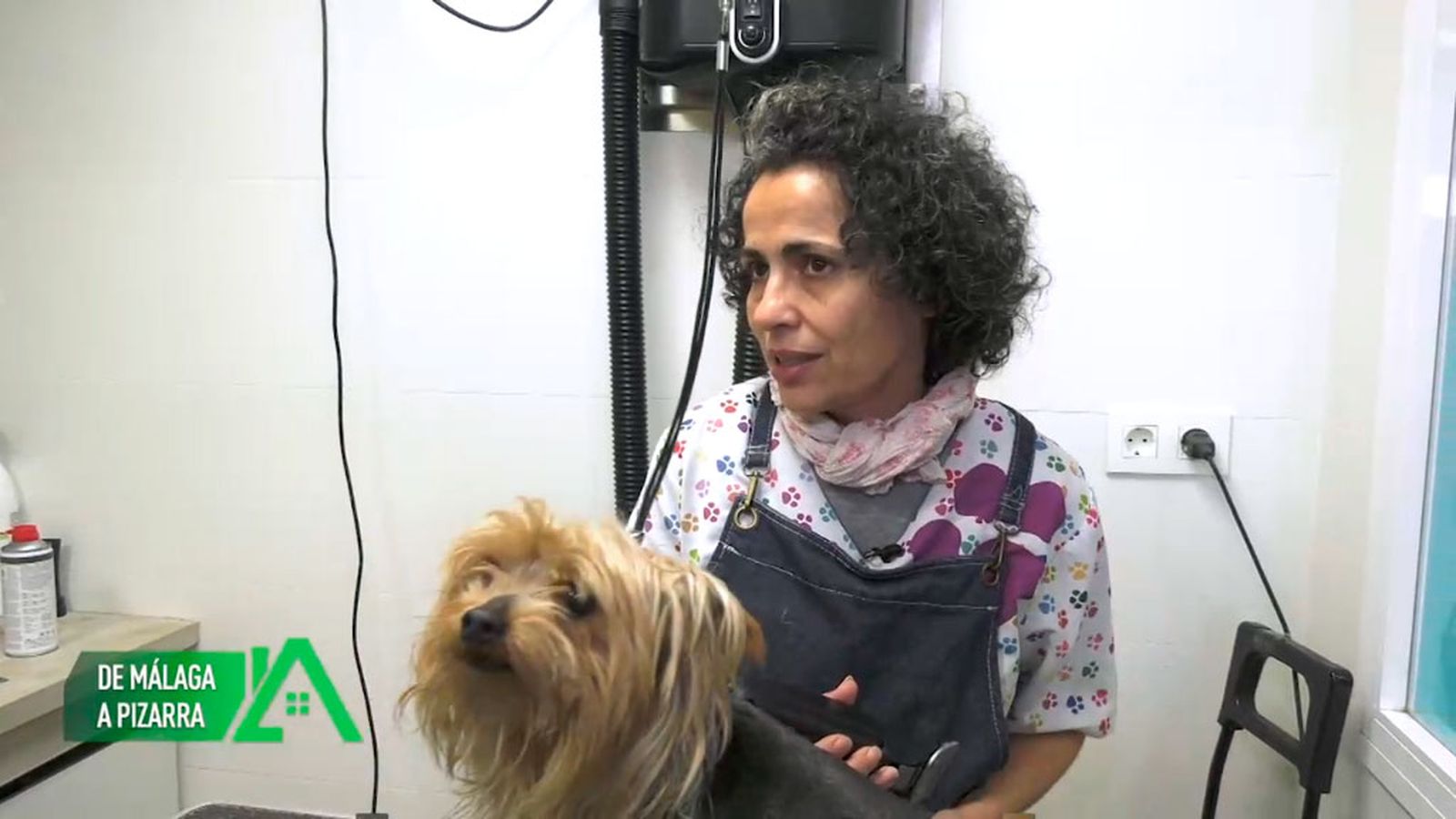 Trabaja en una peluquería canina en Pizarra