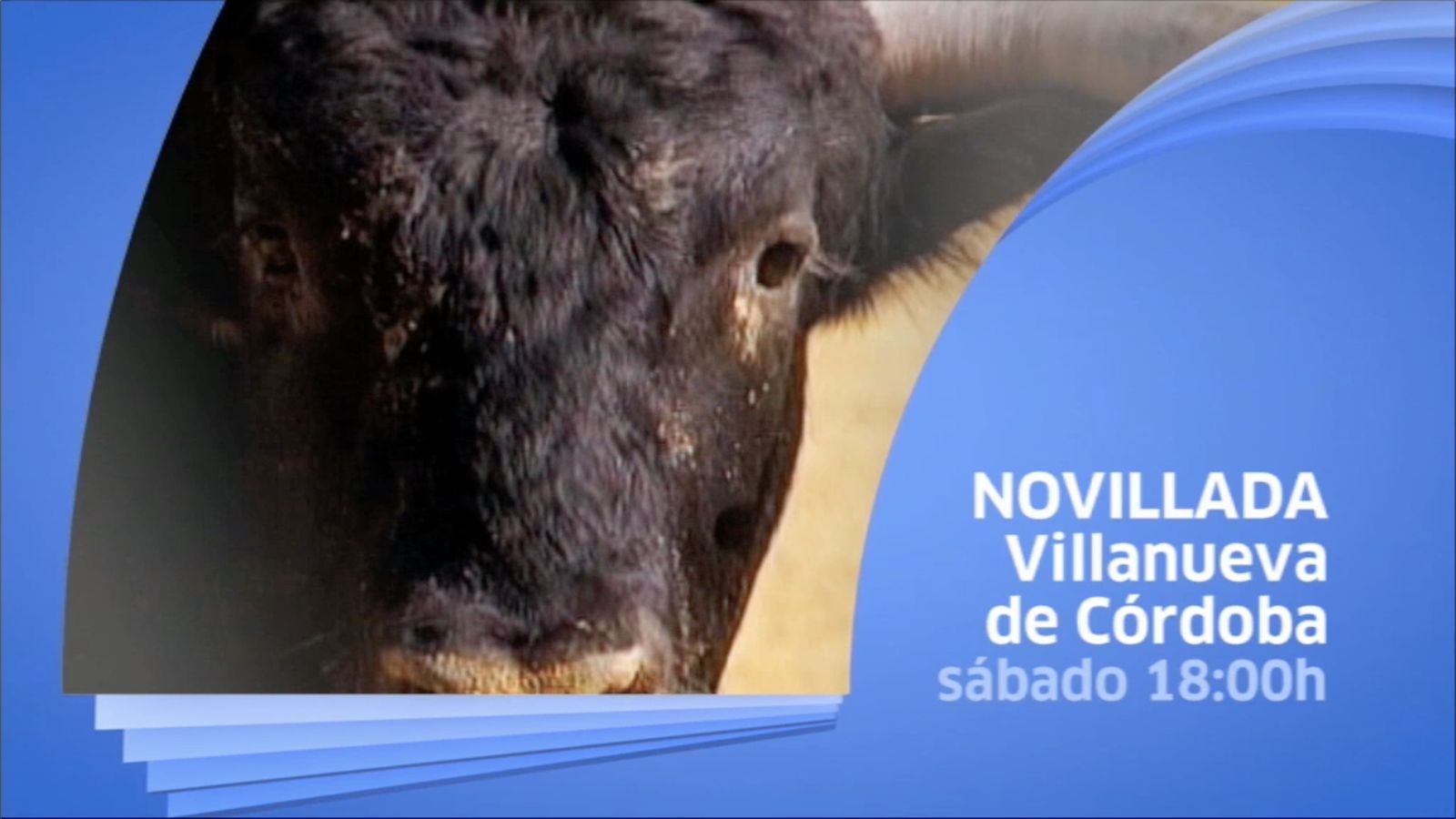 Tapa novillada Córdoba