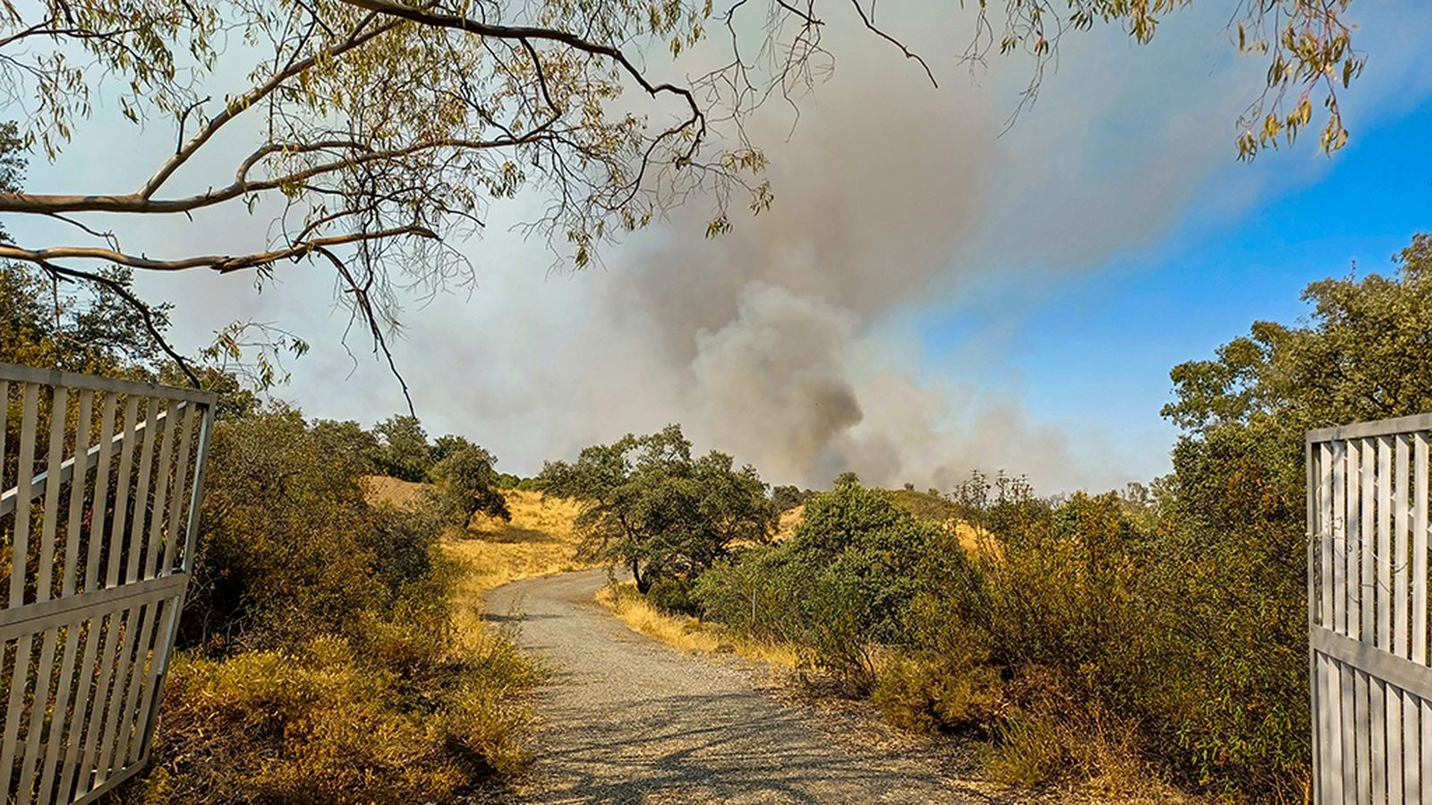 FOTO INCENDIO EL RONQUILLO