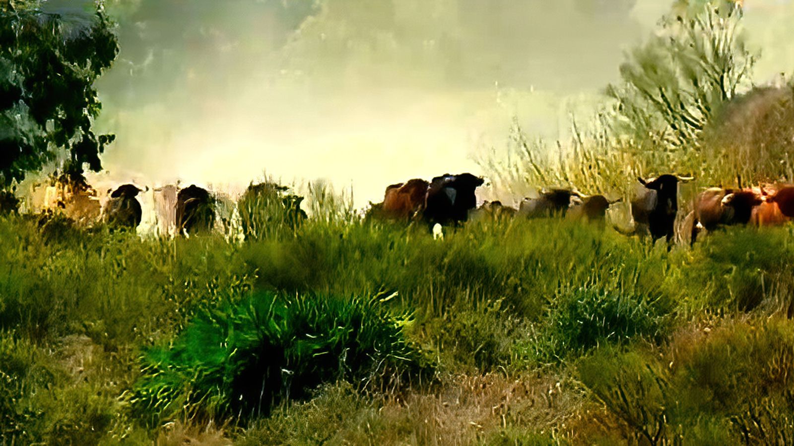 toros todos 1024x576 rastrojera 2