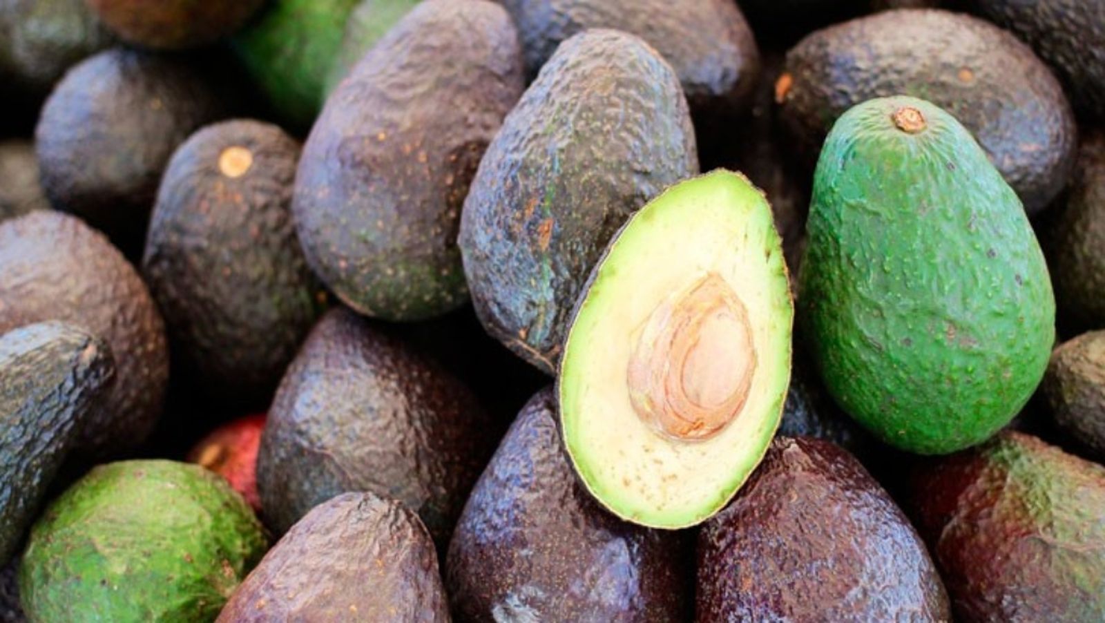 Aguacates Espacio protegido 27/03/21