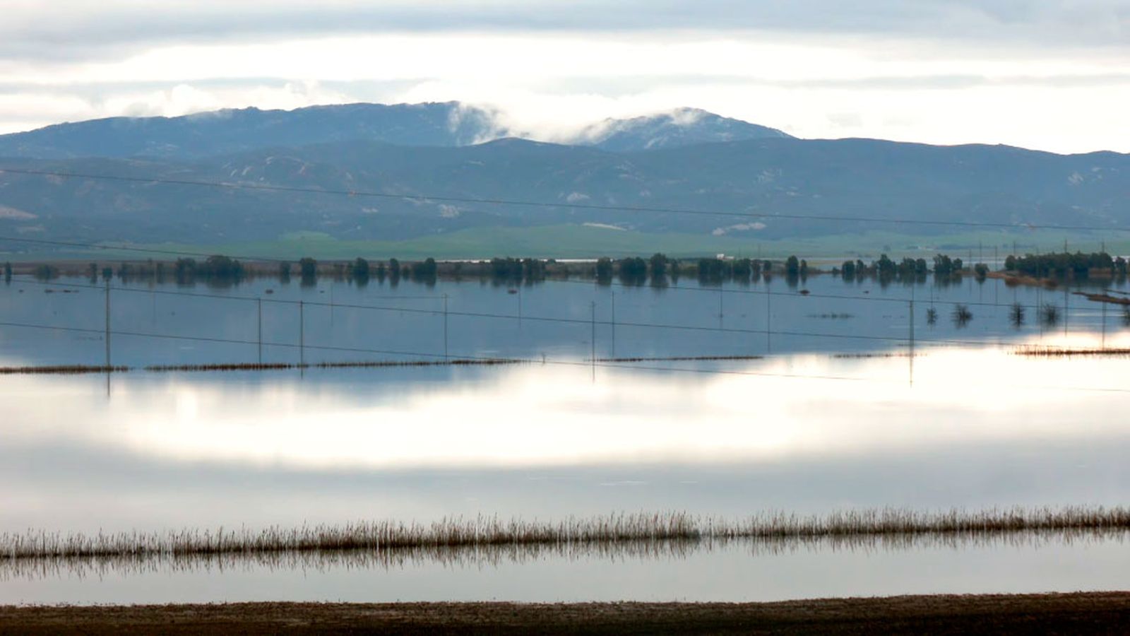La laguna de La Janda renace con las intensas lluvias invernales