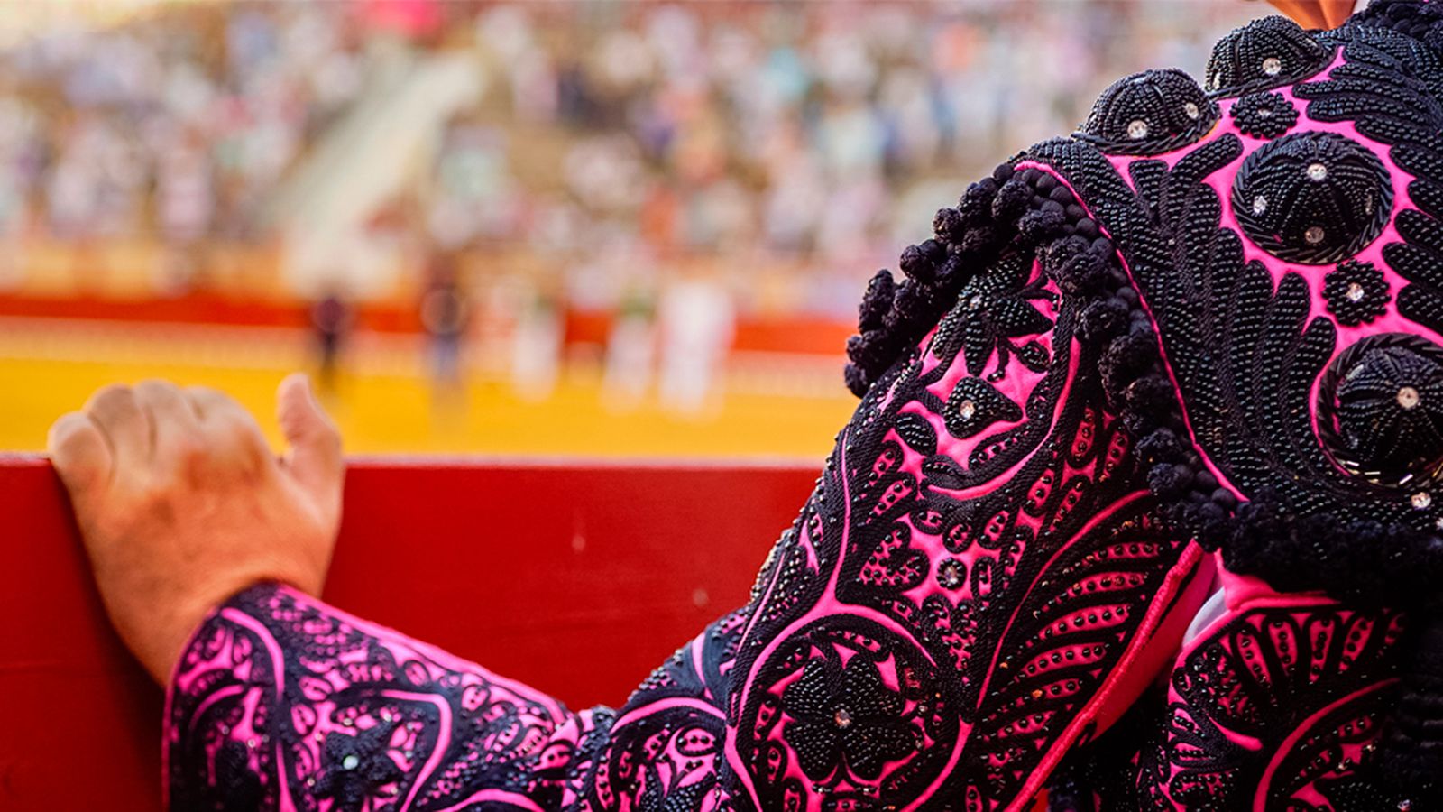 Toros, foto genérica     10/04/24