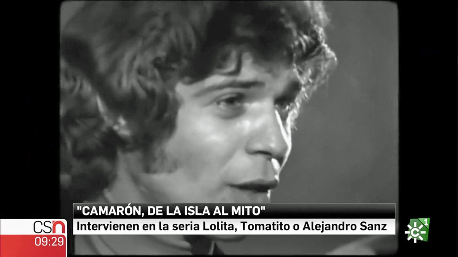 Serie aniversario Camaron