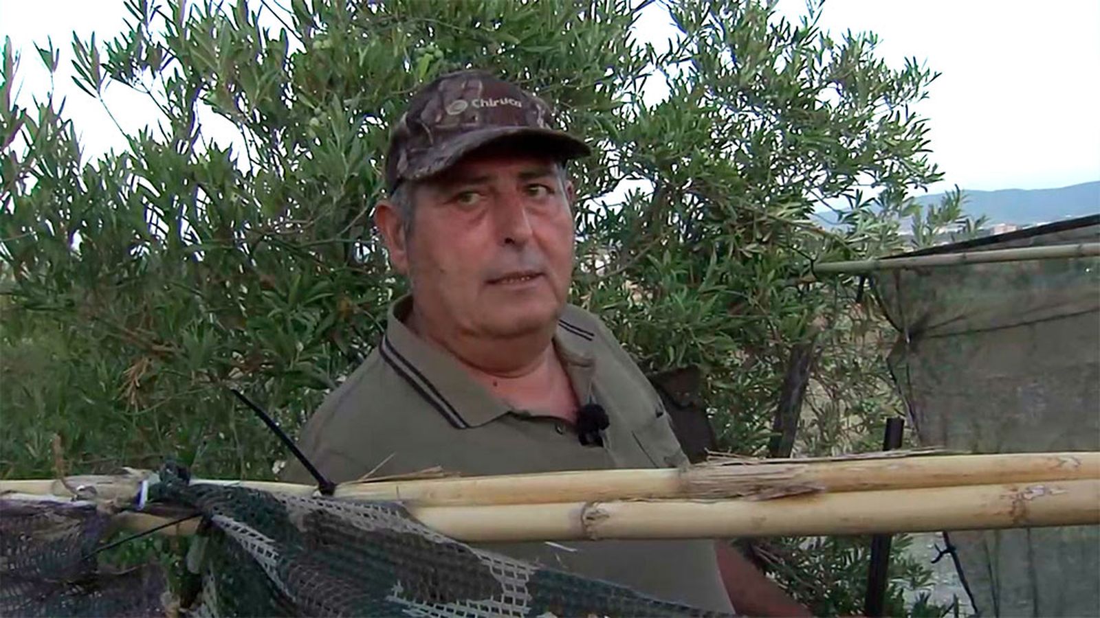 Jornada de caza de palomas al paso
