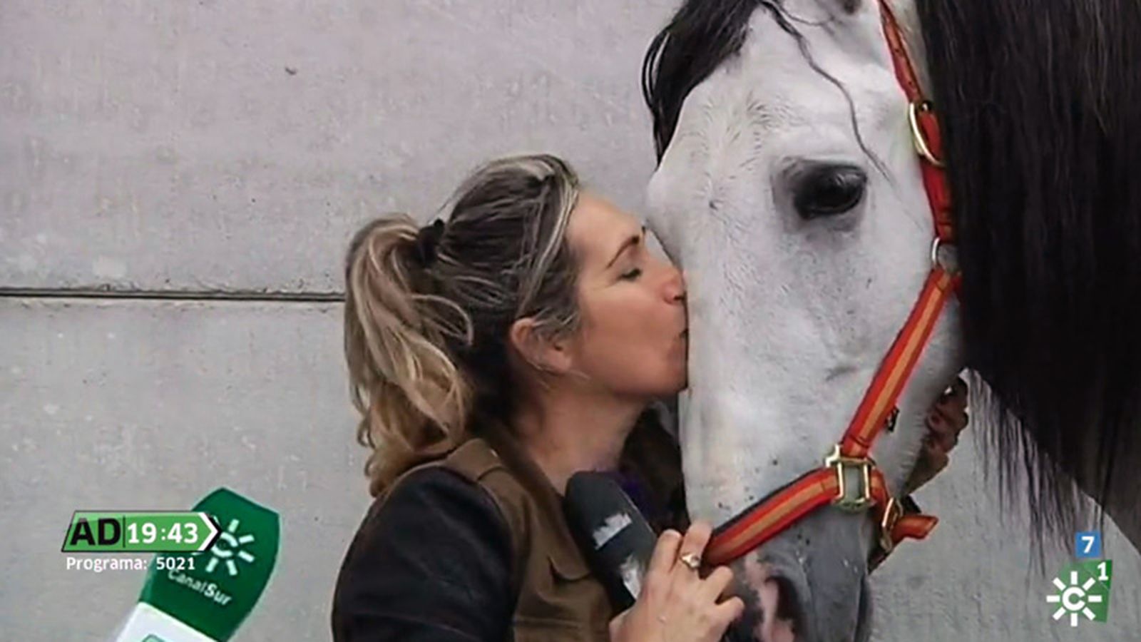 AD Destacado caballos