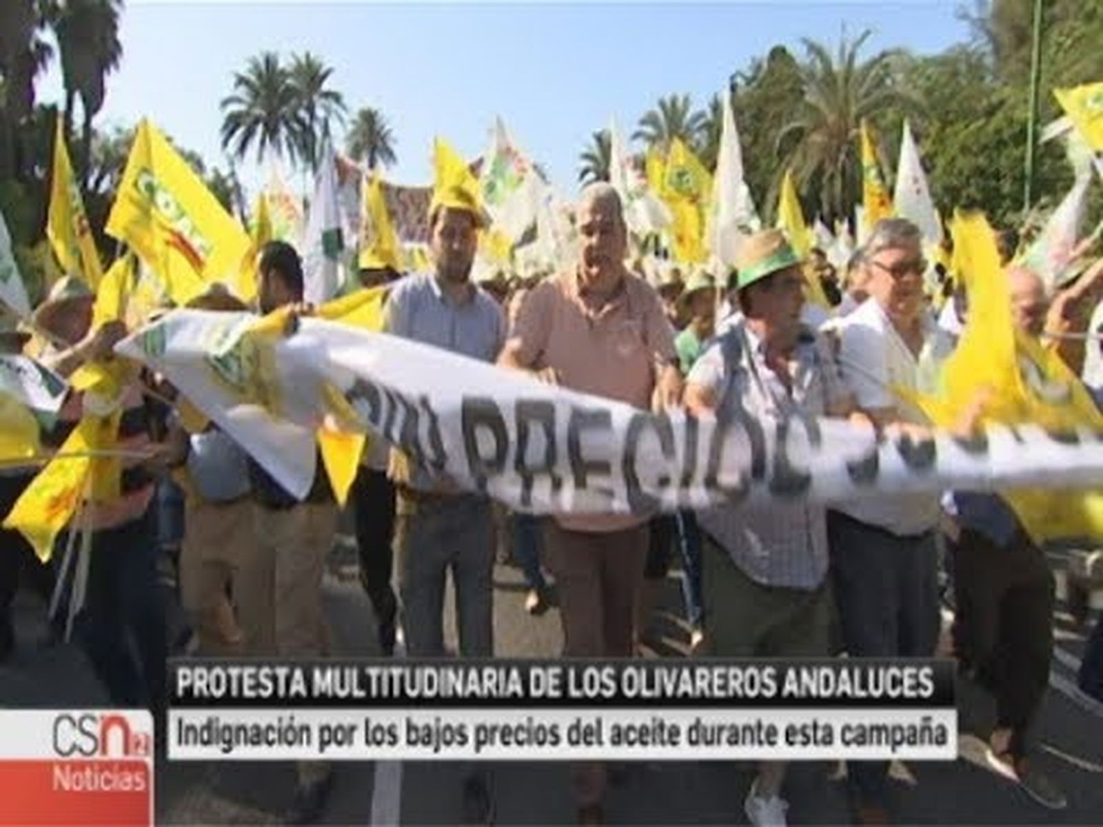 Olivareros andaluces protestan por los bajos precios del aceite