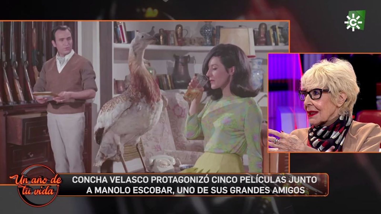 Los amores de Concha Velasco