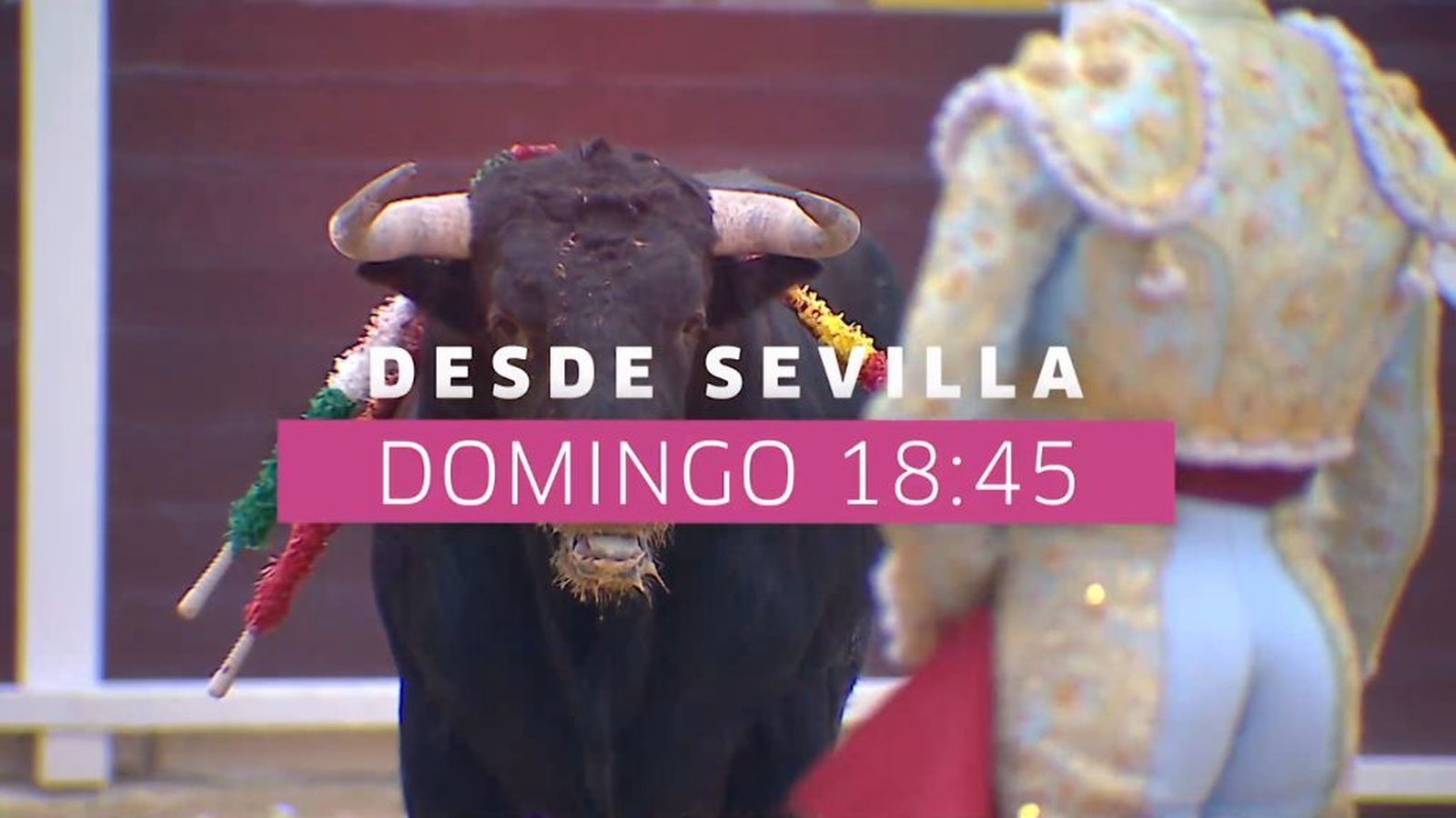 NOVILLADA FINAL DESDE SEVILLA Promo 12/05