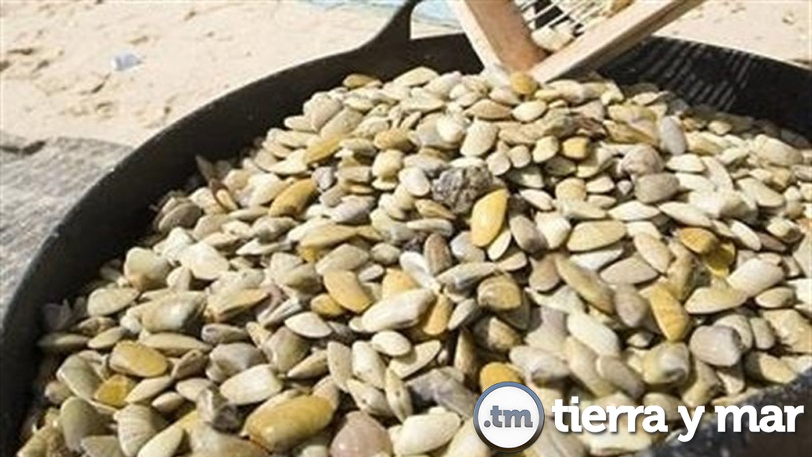 Comunicación Tierra y Mar Foto