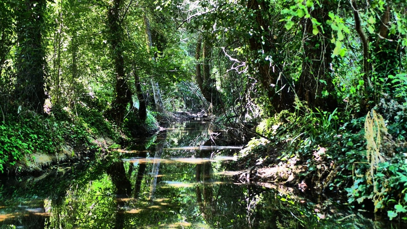 Andalucia es Naturaleza, 15 junio