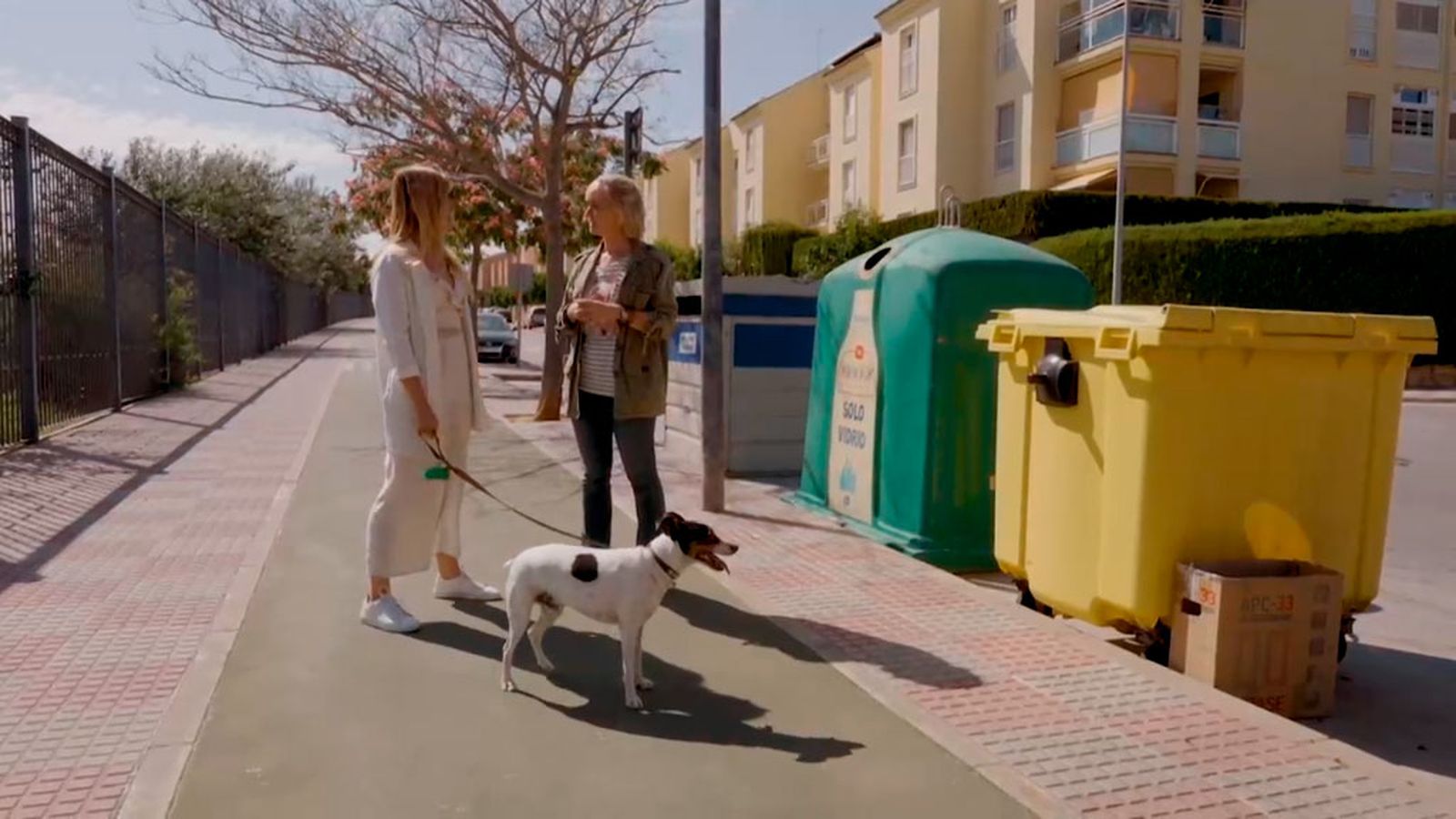 La historia de superación de Buddy, un perrito rescatado de la basura
