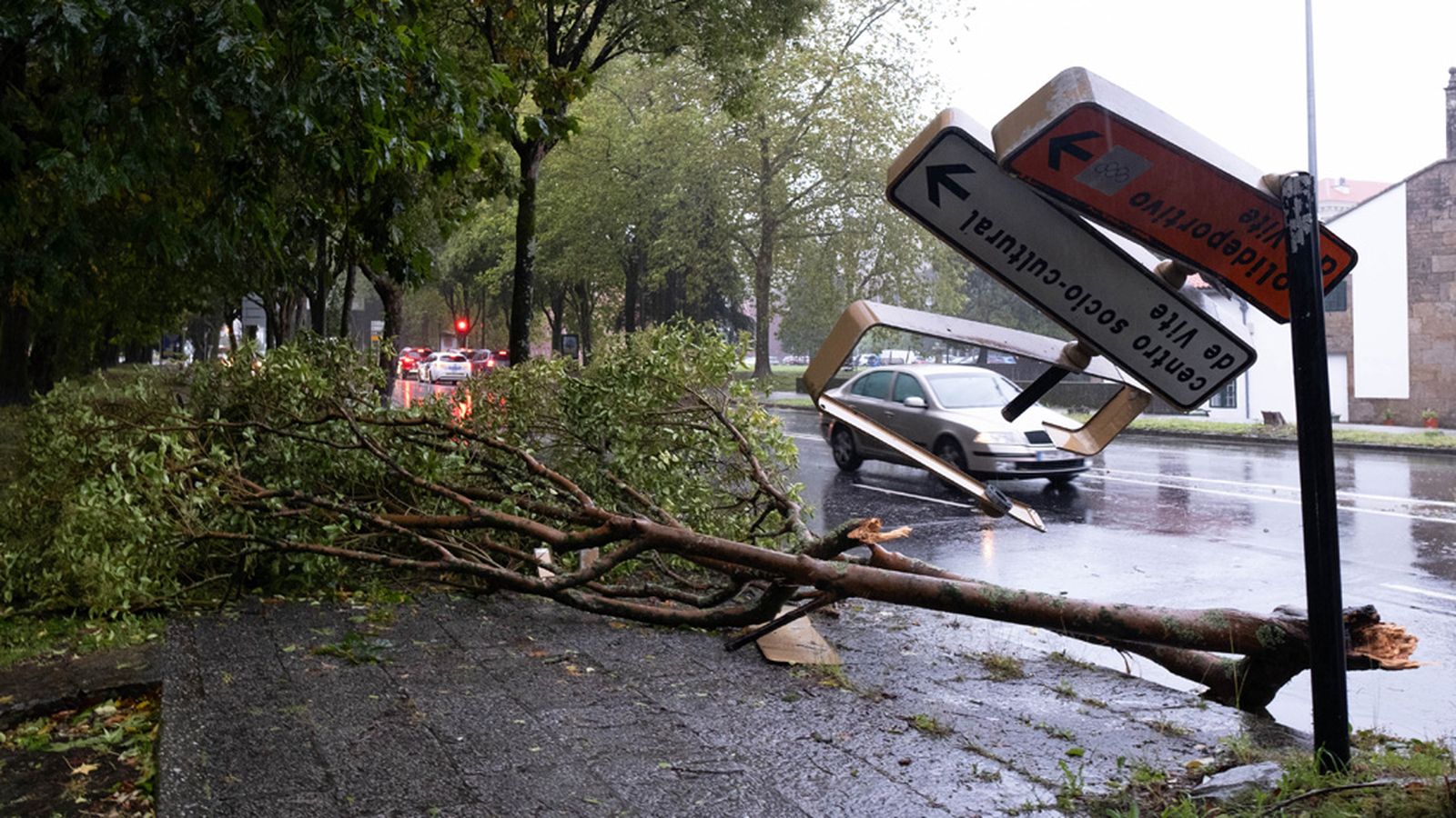 FOTO_TEMPORAL