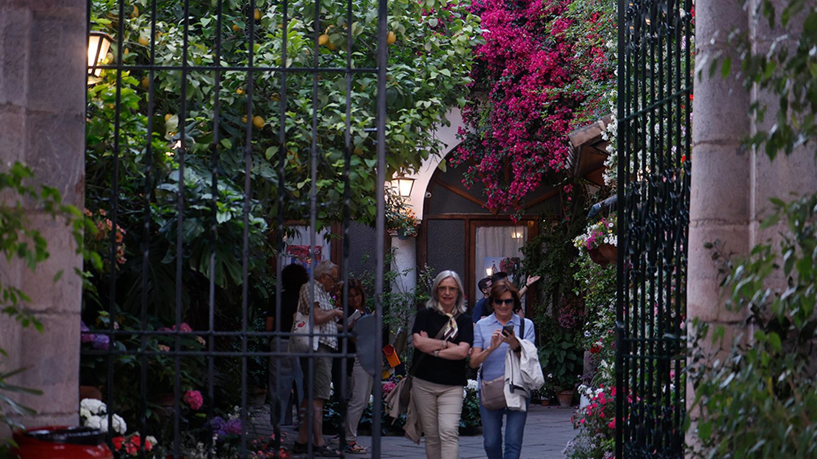 Exito patios Córdoba