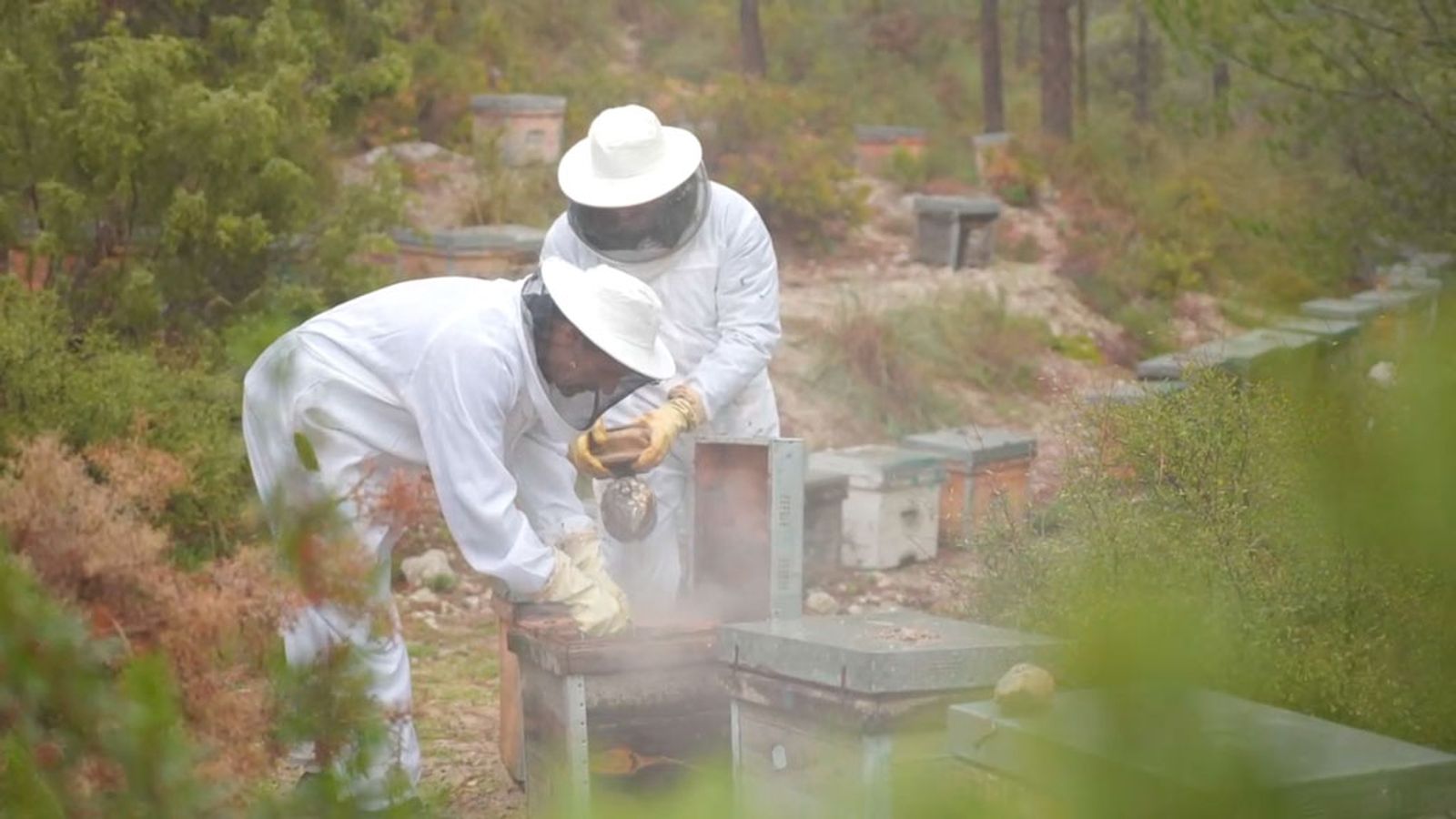 Bosco se atreve a realizar labores de mantenimiento de unas colmenas de la Sierra Almijara en Cómpeta