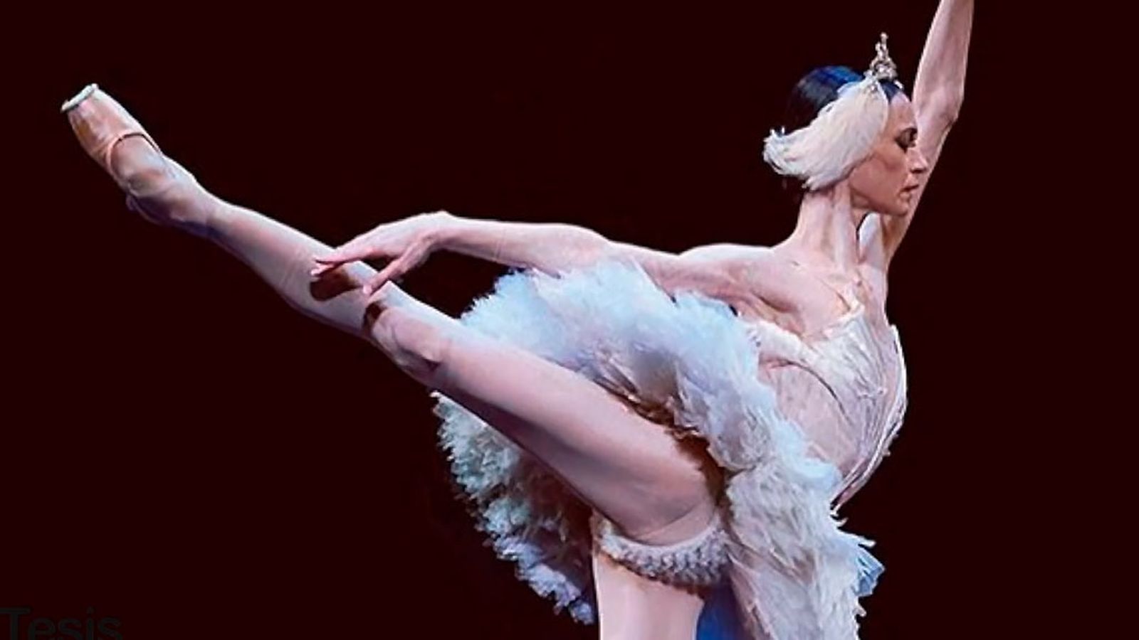 Danza sin fecha de caducidad con Lucía Lacarra