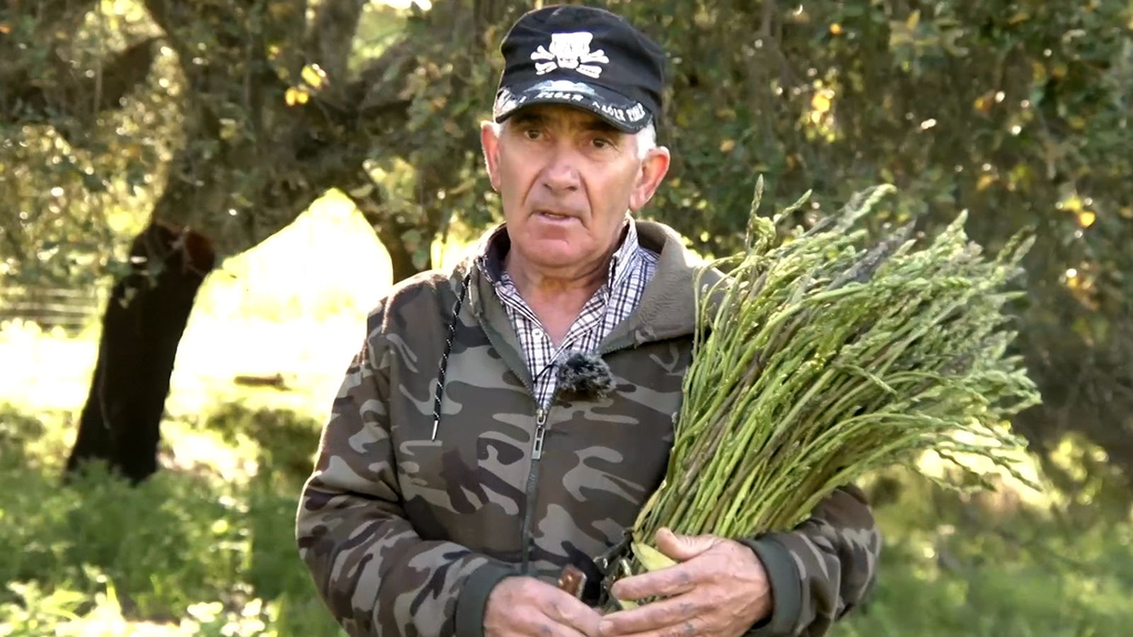 Salimos al campo a recoger espárragos trigueros