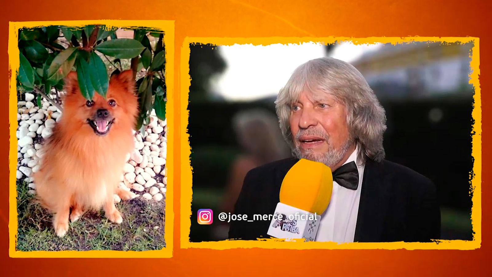 José Mercé airea su relación con su perrito Boro