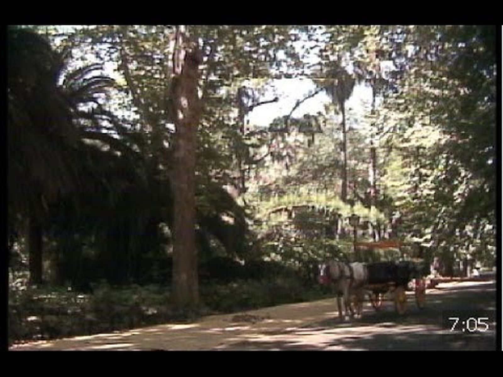 El Parque María Luisa de Sevilla en los años ochenta, primera vez en Canal Sur TV