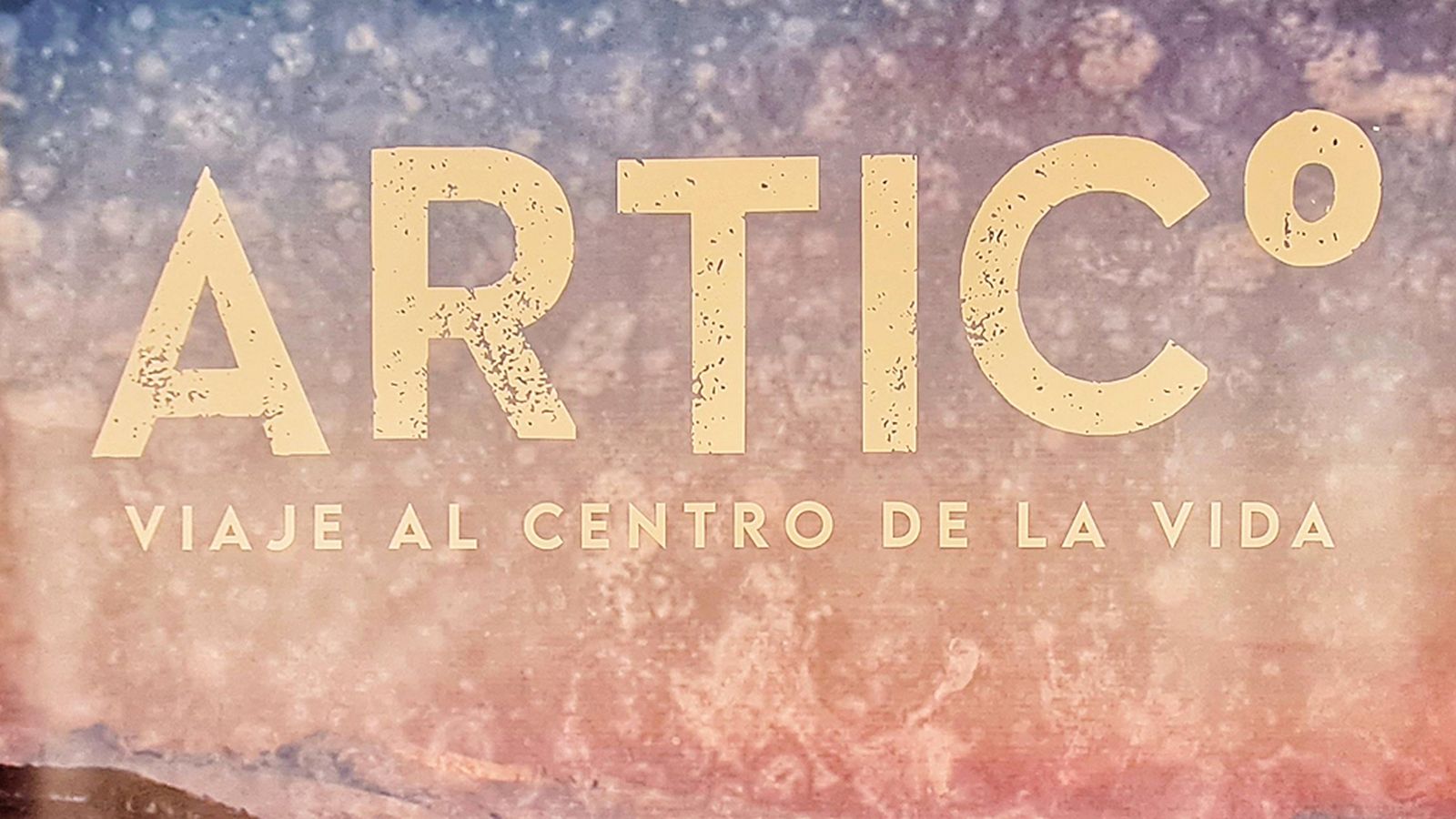 Comunicación Artico Foto
