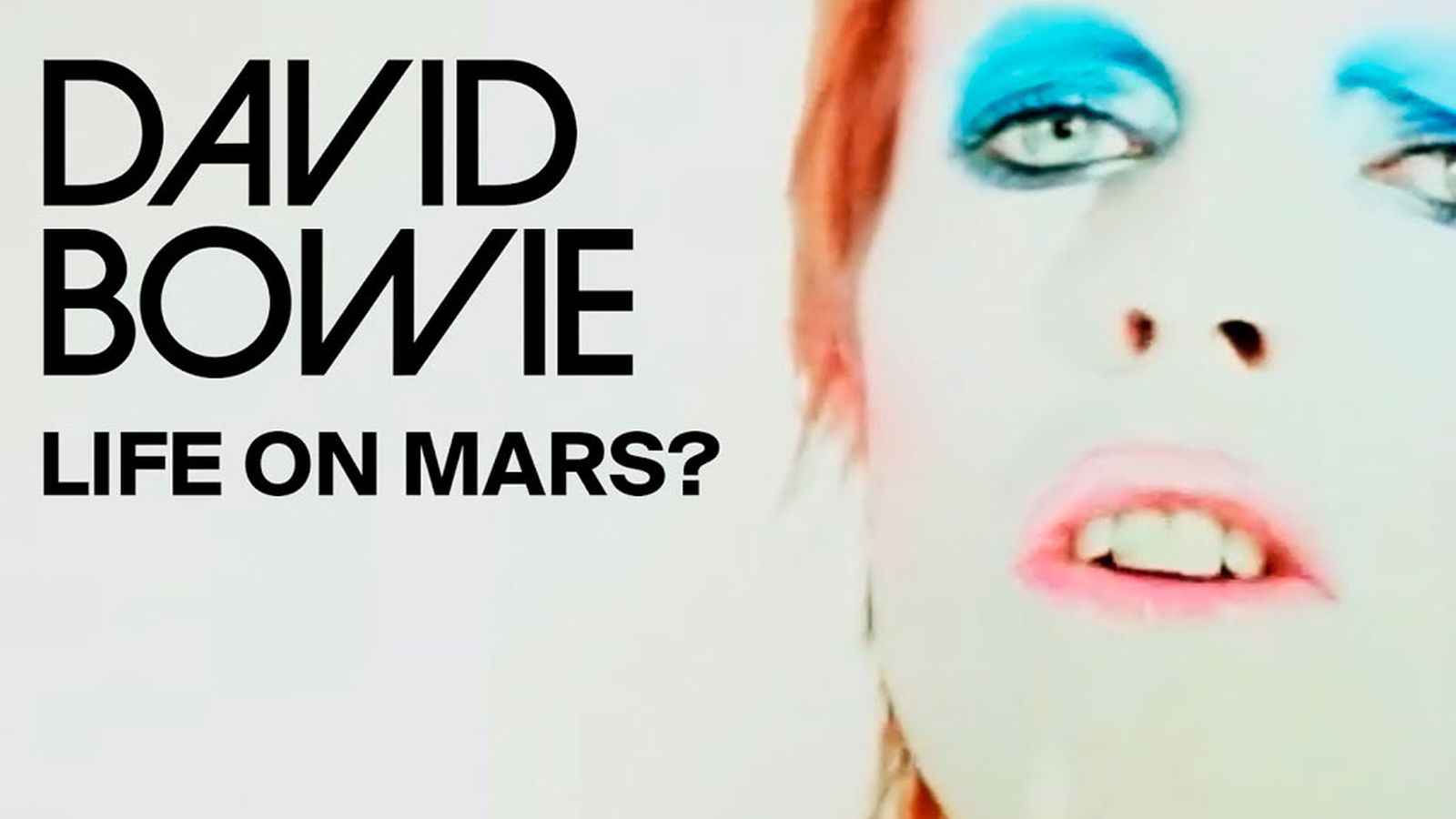canal fiesta noticia bowie 1024x576