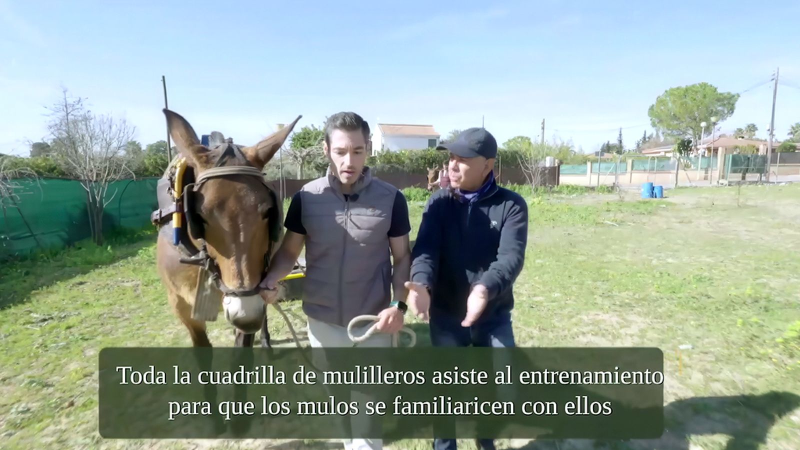 TodoCaballo 1 marzo 1024x576 Interiro noticia