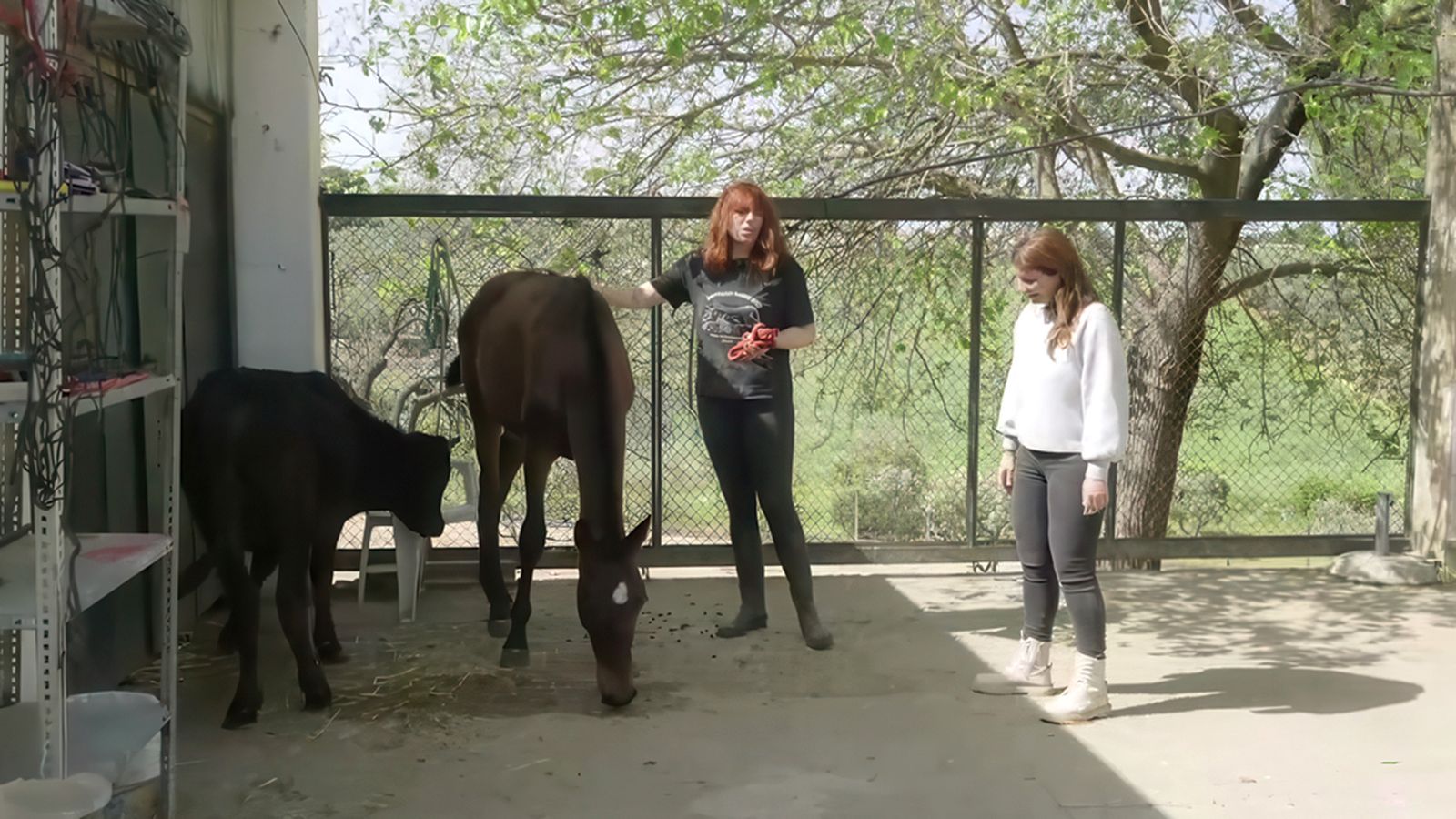 Pury entrega su vida a los caballos más desfavorecidos