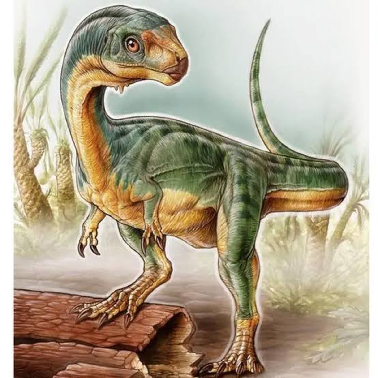 Megadinosaurio