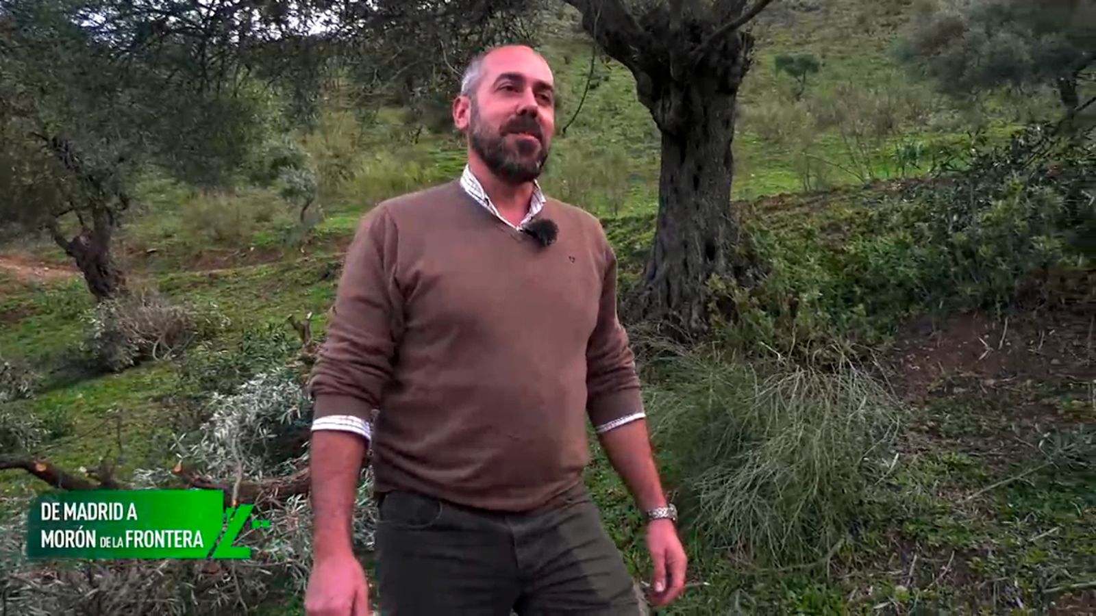 Ha creado su propia almazara de aceite en Morón de la Frontera