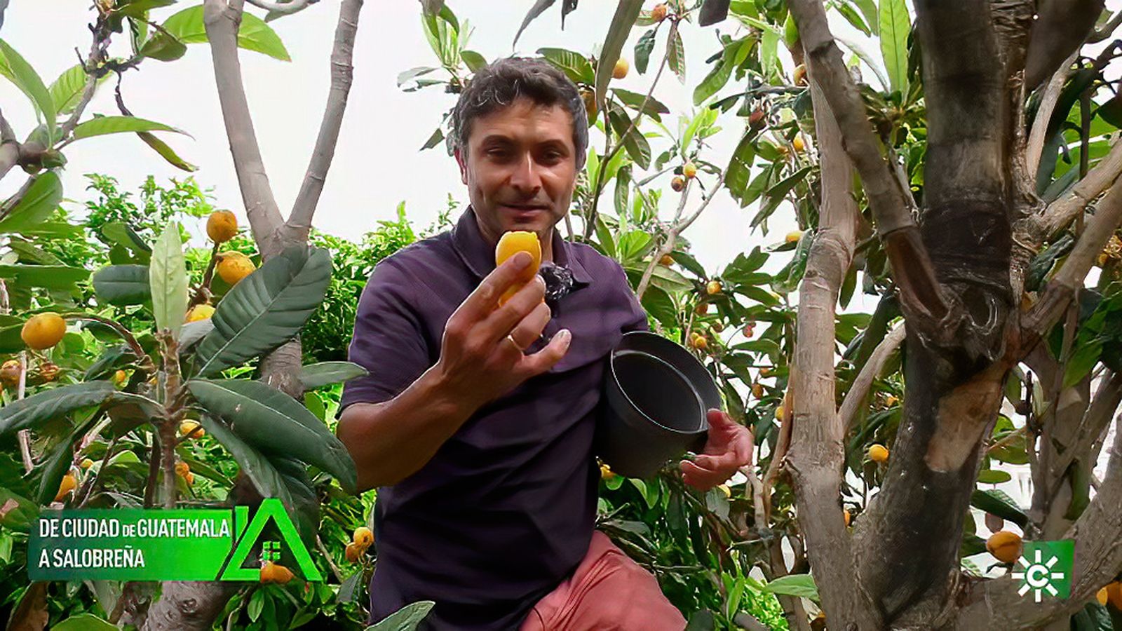 Nació en Guatemala pero se trasladó a Salobreña donde cultiva limones y aguacates de manera ecológica