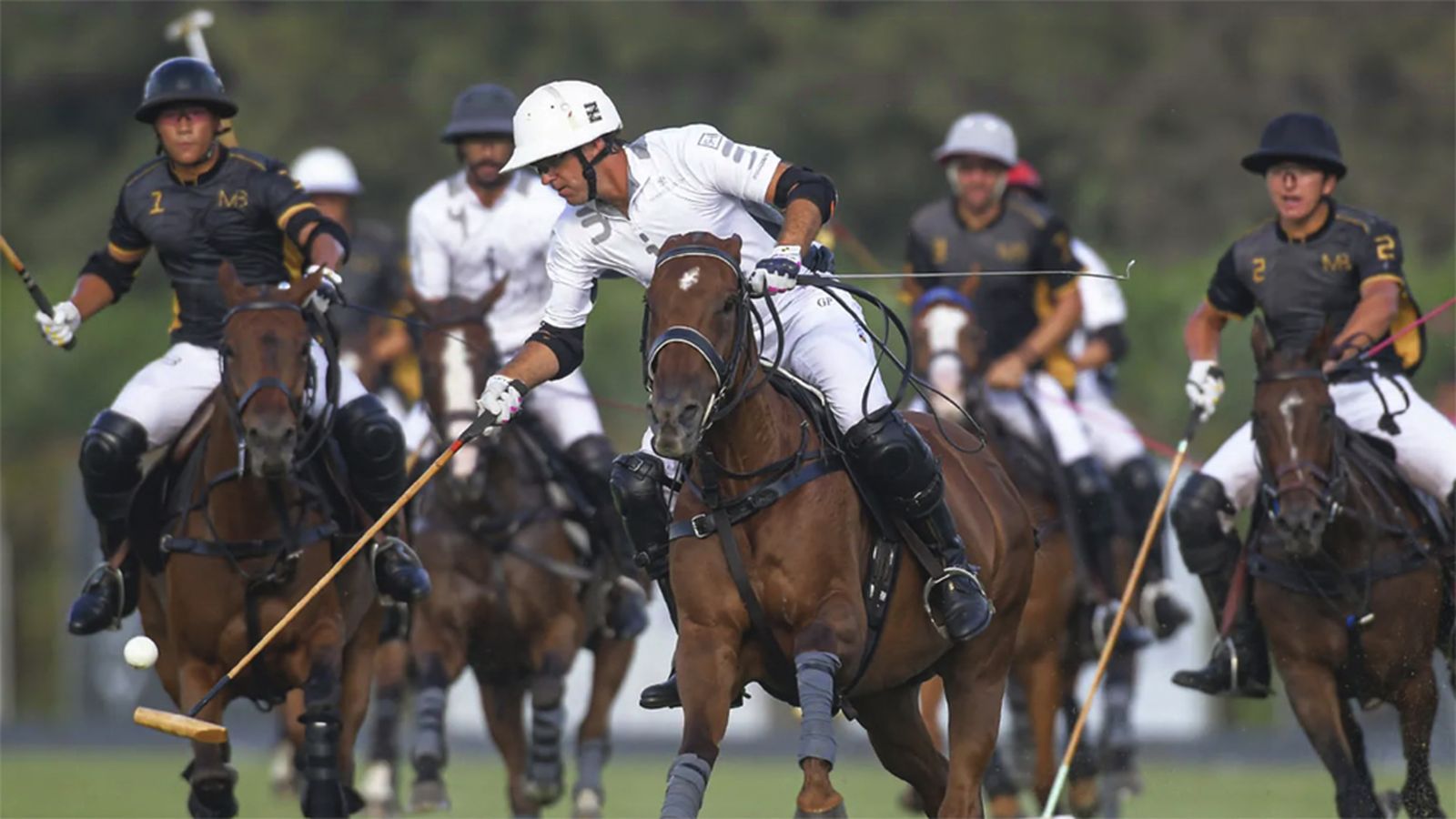 Comunicación Polo Sotogrande