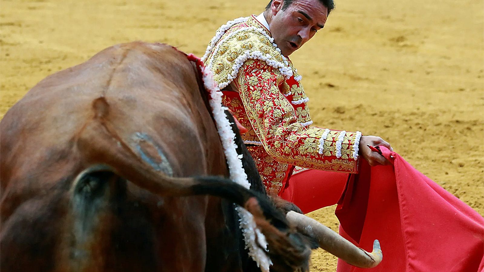 TOROS PARA TODOS ENRIQUE PONCE