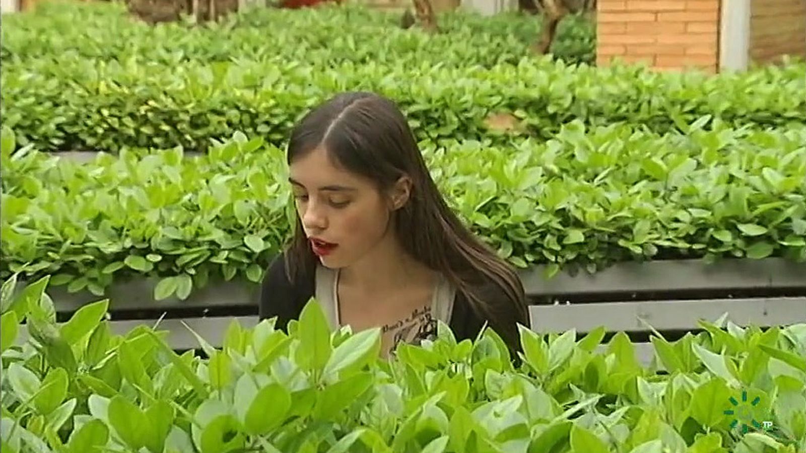 Luna Miguel, escritora