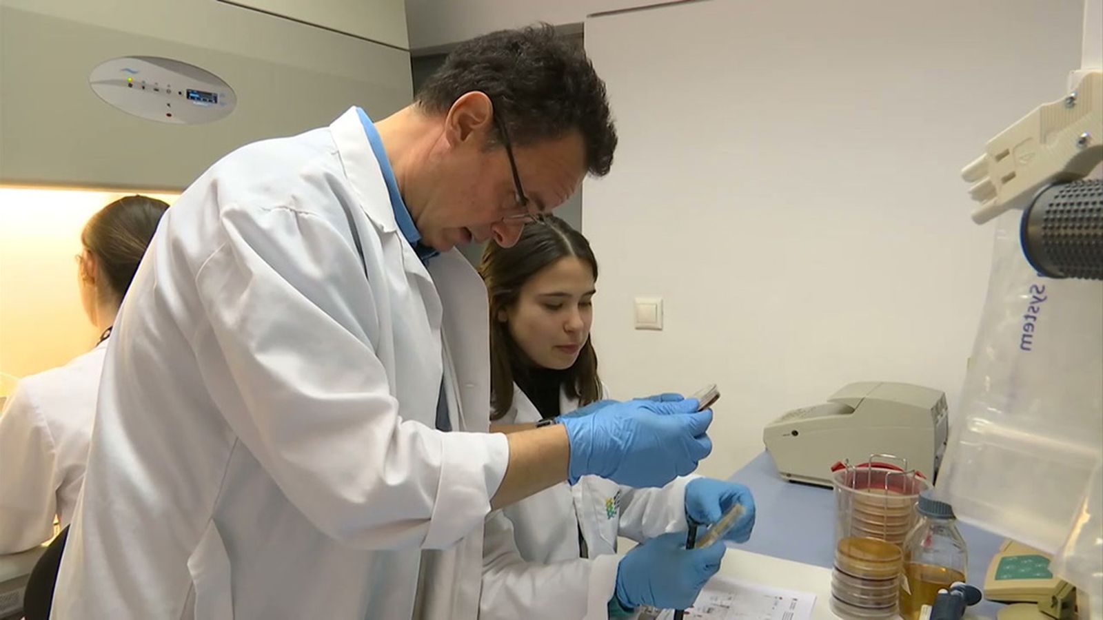 Investigadores de Granada buscan paliar el Alzheimer o la depresión con la microbiota