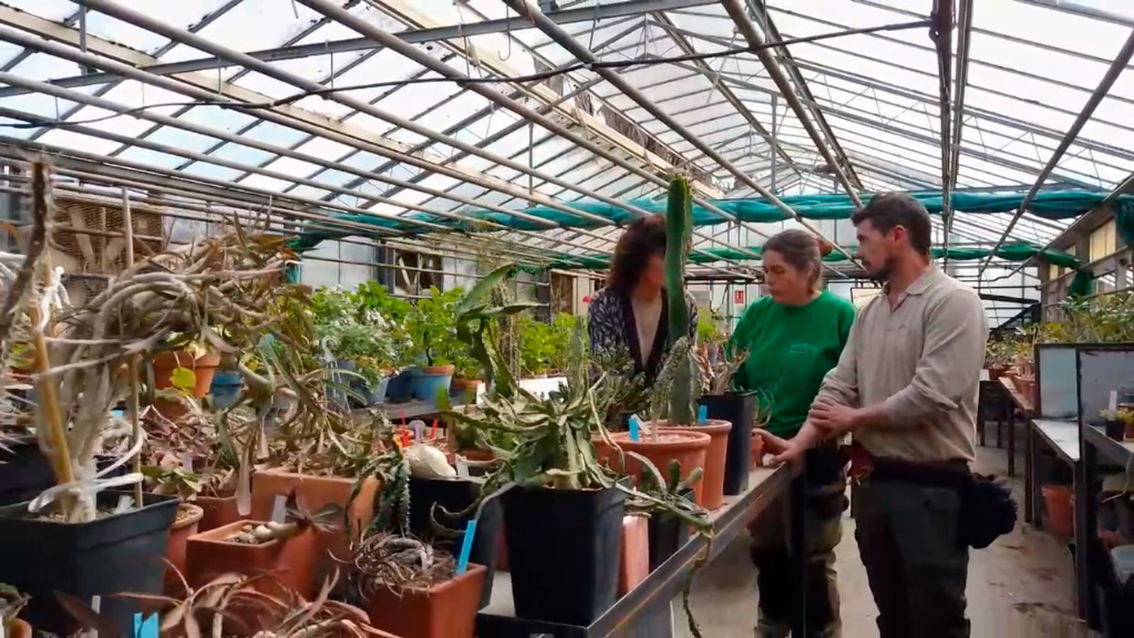 Una familia de Córdoba dona la colección de plantas de su hijo fallecido al Jardín Botánico