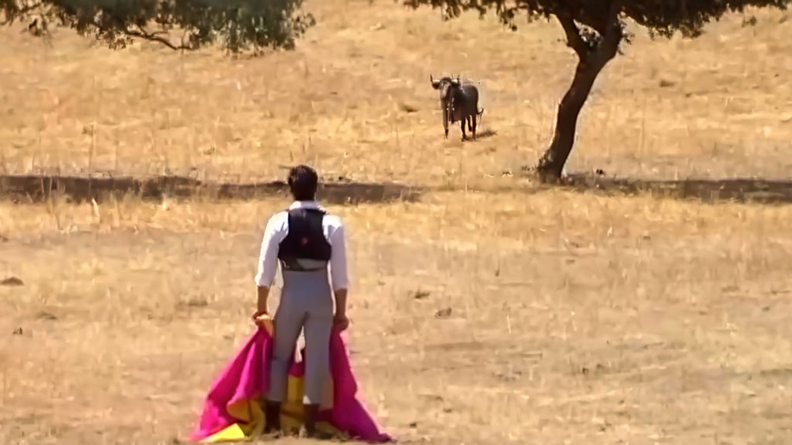Memoria y bravura se citan en una retienta a campo abierto