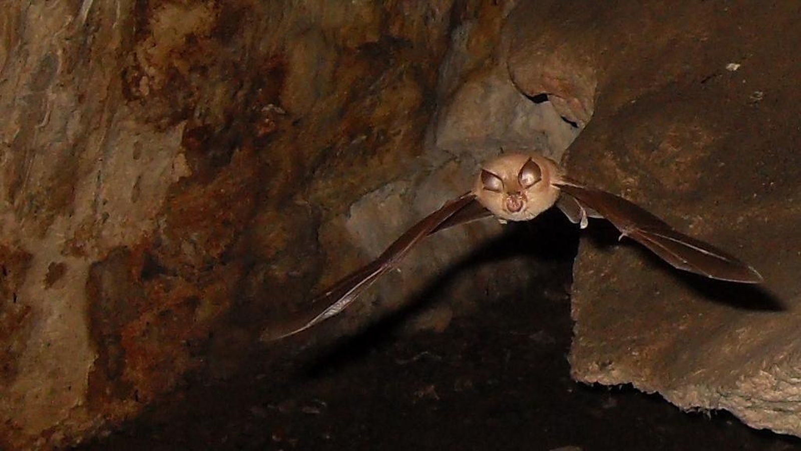 cueva