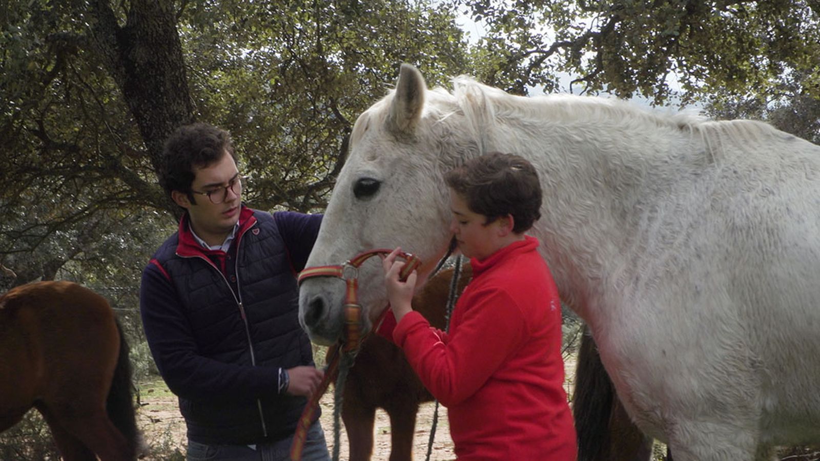 Todo caballo, 4 enero, niños