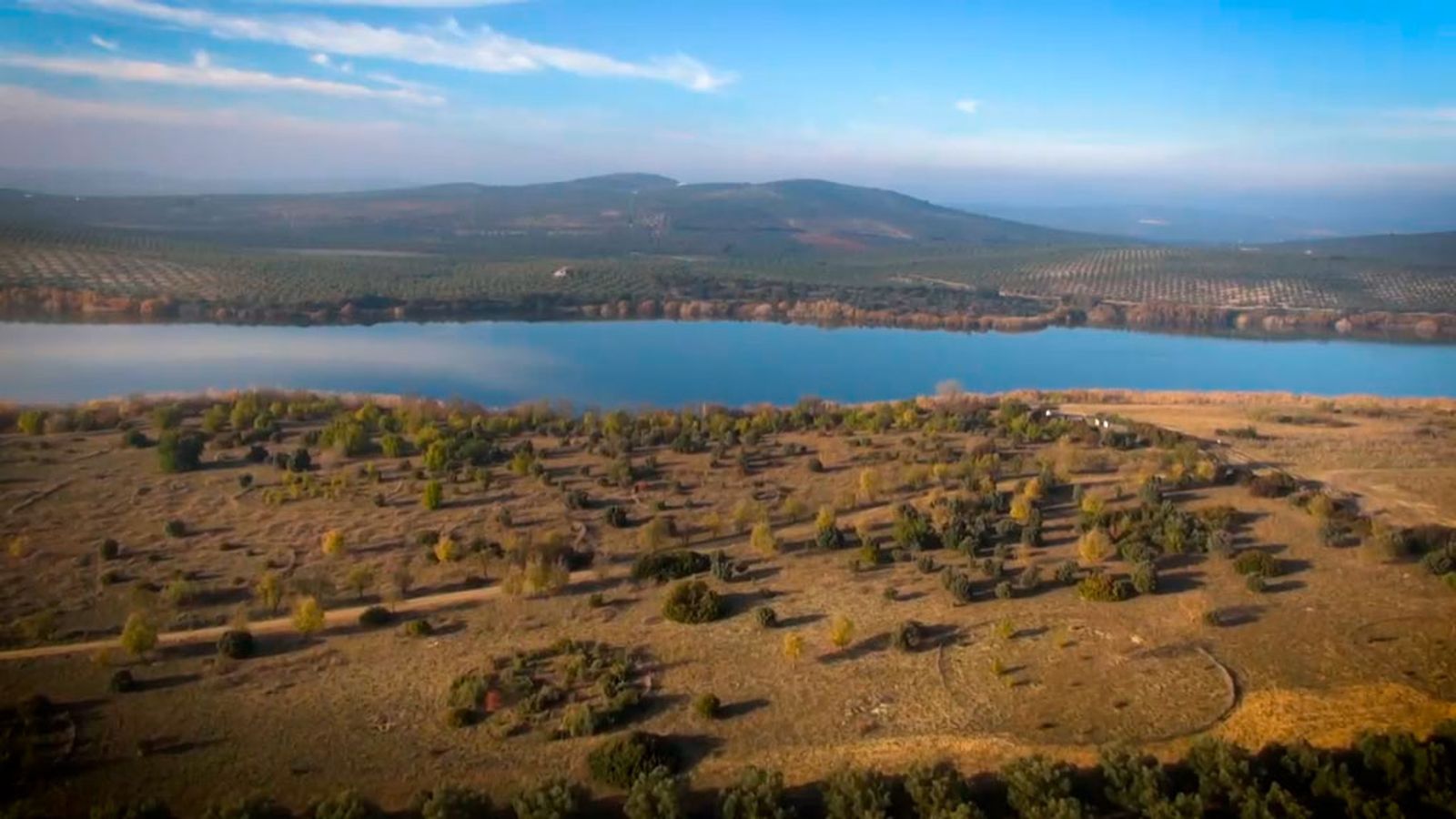 Laguna de Zóñar, un paraíso ornitológico clave para la protección de la malvasía