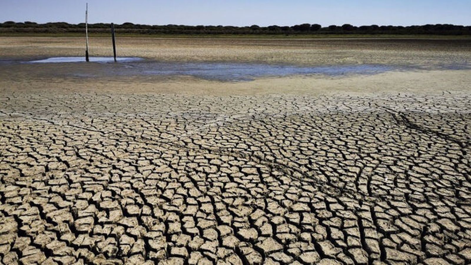 cambio climático sequía