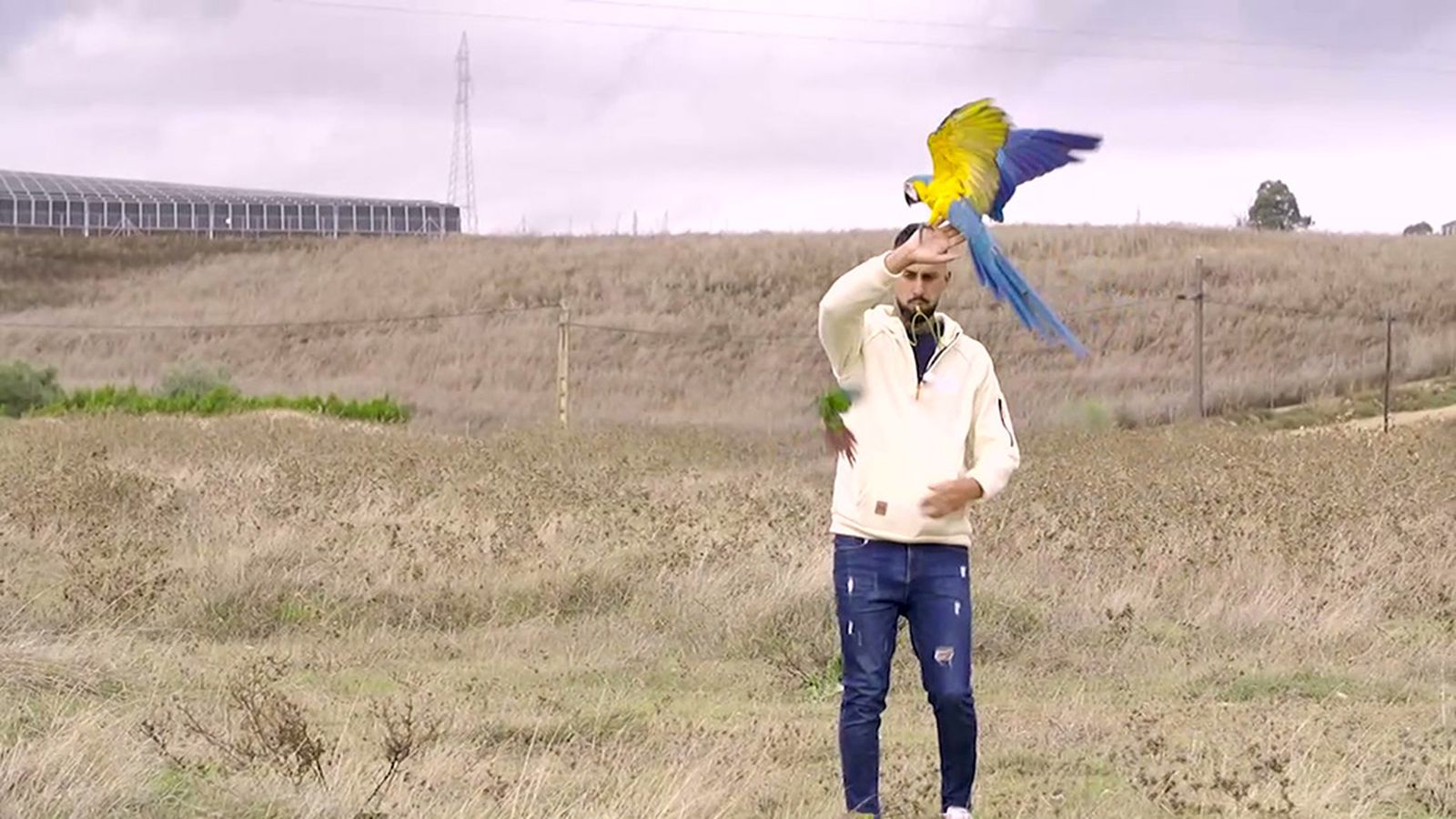 Israel y su guacamayo desafían al cielo con vuelo libre y tecnología GPS