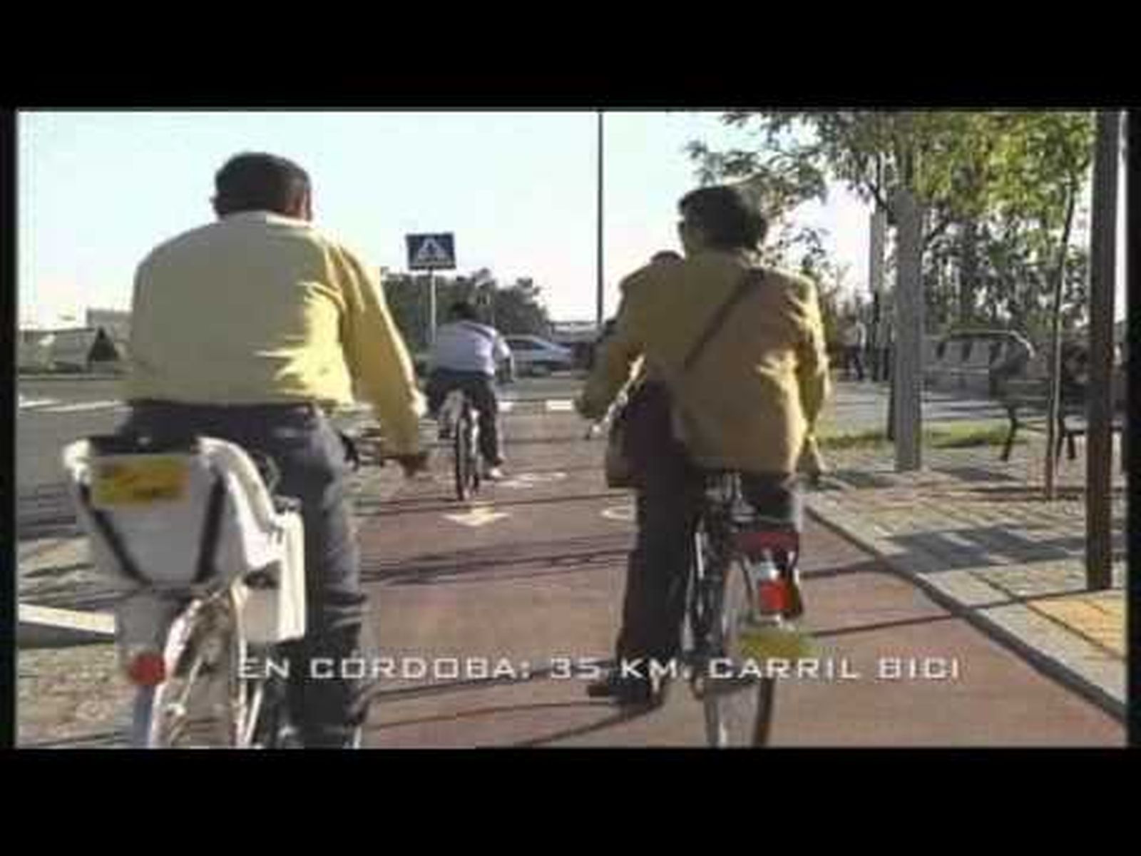 ABEJAS DIGITALES - CANAL SUR