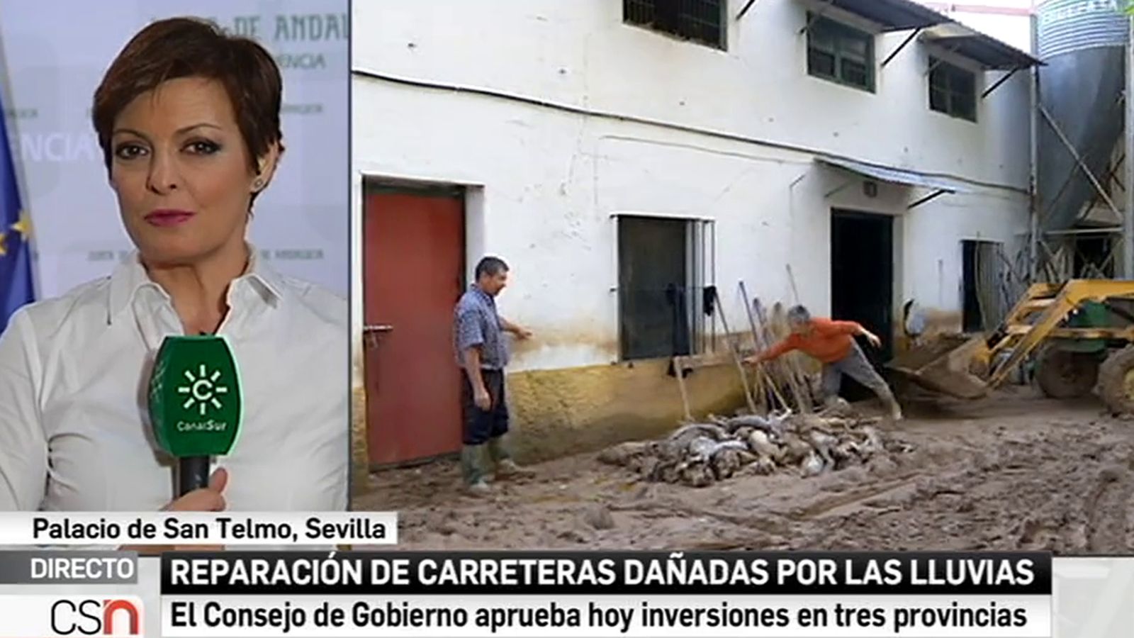 Consejo de Gobierno