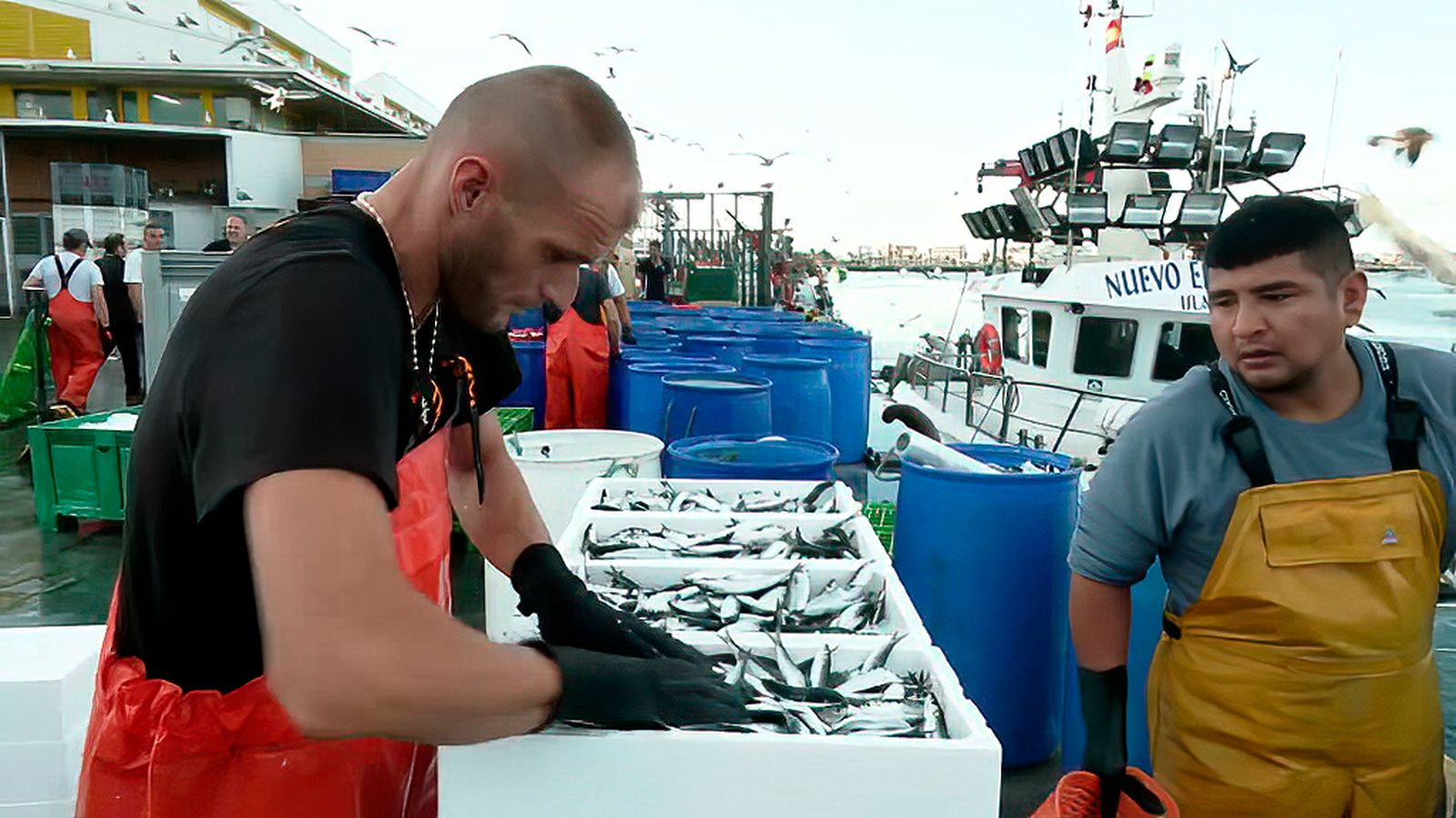 Incertidumbre ante la amenaza de recorte en la cuota del boquerón