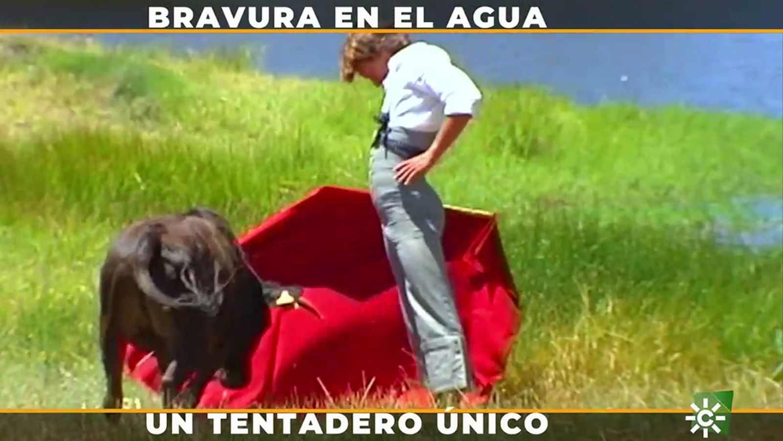 El tentadero a campo abierto, una sensación de libertad absoluta en la pelea