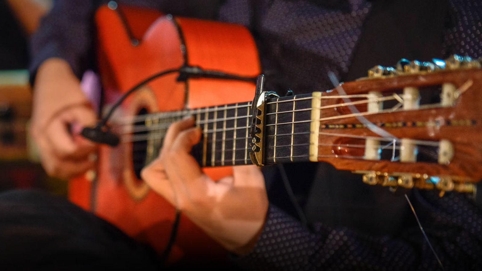 recurso flamenco 1024
