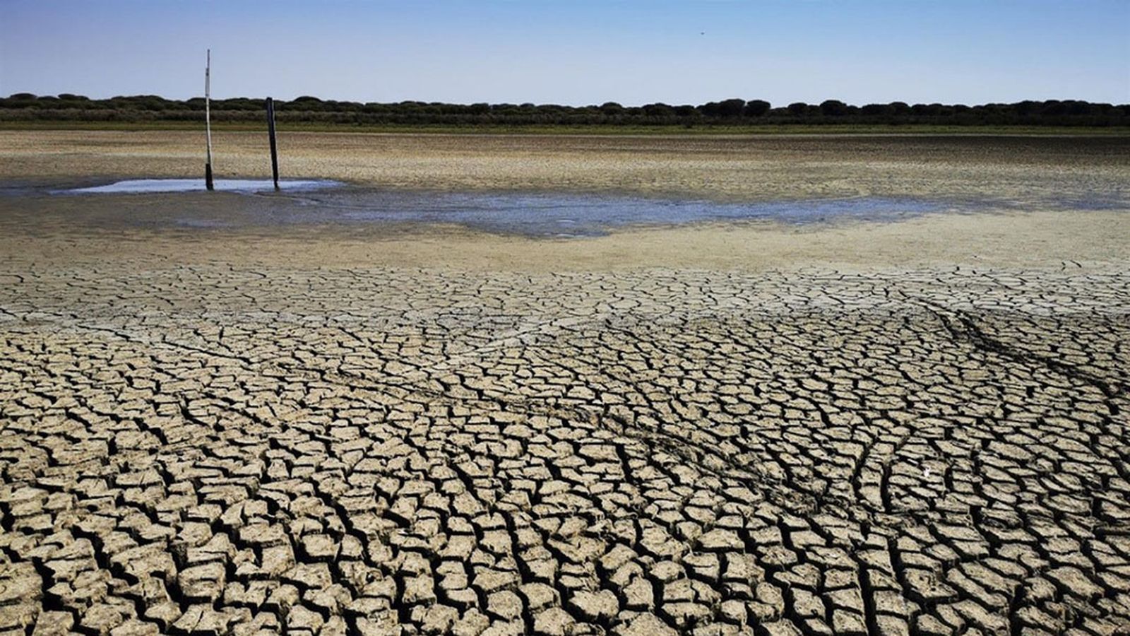sequía Doñana
