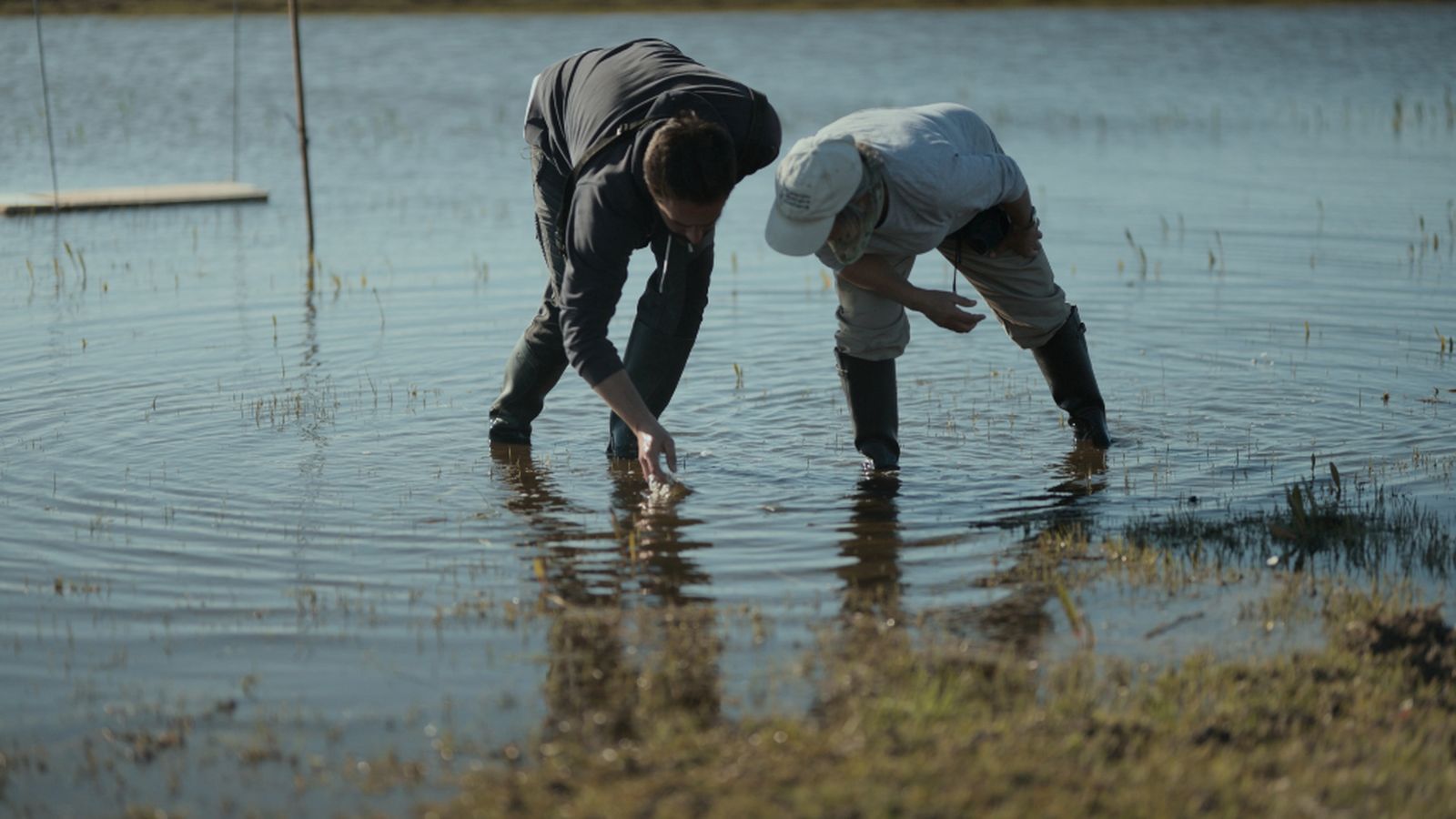 Documental la lucha de Doñana