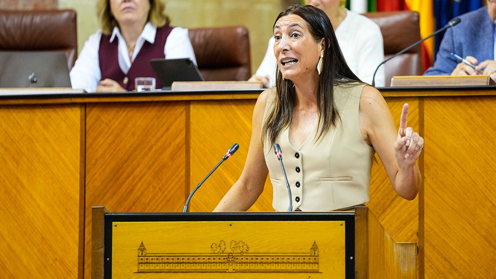 Loles denuncia que no funciona el sistema Viogen